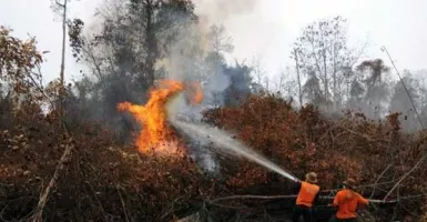 Kebakaran Hutan Melanda Gunung Rinjani  