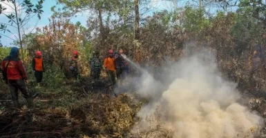 Polisi Tetapkan 20 Tersangka Pembakar Lahan di Riau