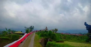 Bendera Merah Putih Sepanjang 1.945 Meter Selimuti Jatiluwih Bali