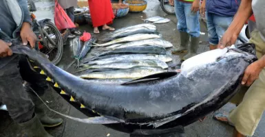 Pameran di Jepang, KKP Raup Nilai Ekspor Ikan USD 42,62 Juta