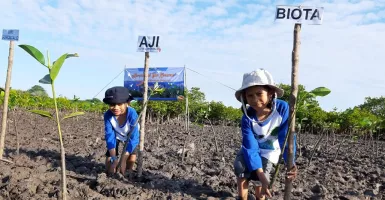 Wisata ala Penggiat Lingkungan: Tanam Mangrove