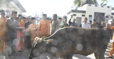 Idul Adha 2019, Kabupaten Gorontalo Sembelih 2704 Hewan Kurban