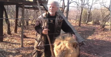 Kakek Berusia 70 Tahun Tewas Dicabik Singa Peliharaannya