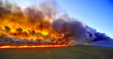 Pesawat Perang Brasil Dikerahkan Padamkan Api Kebakaran Amazon