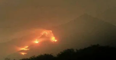 Dahsyat, 300 Hektare Hutan Gunung Arjuno Terbakar
