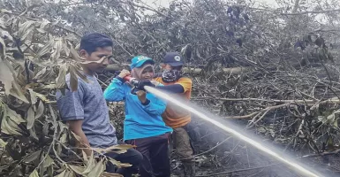 Ini 2 Penyebab Kebakaran Hutan Setiap Tahun di Indonesia