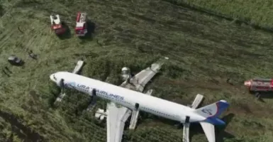 Pilot Pesawat Dipuji Karena Mendarat Darurat Usai Menabrak Burung