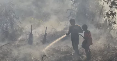 58 Titik Panas Kebakaran Hutan dan Lahan Tersebar di Riau