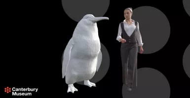 Penguin Kaisar Bukanlah yang Paling Besar di Dunia