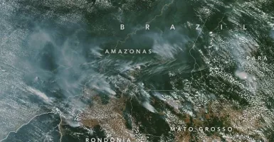 Ini Penampakan Kebakaran Hutan Amazon Dari Satelit NASA