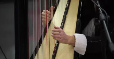 Cowok Jambul Cosplay Pagar Jadi Harpa Sukses Bikin Geli Netizen