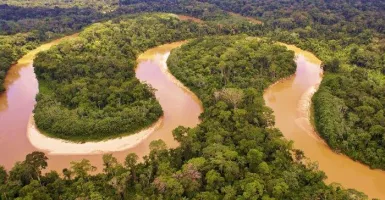 5 Fakta Seputar Hutan Amazon, Paru-paru Terbesar Dunia