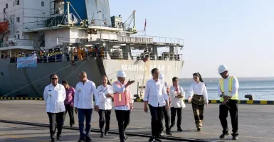 Jokowi Pantau Aktivitas Kapal Ternak di Pelabuhan Tenau NTT