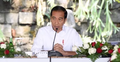 Genjot Devisa, Jokowi Desak Pengembangan Borobudur Dituntaskan