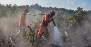 Tim Satgas Berjibaku Padamkan Ribuan Hektar Karlahut di Riau