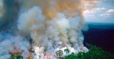Ragam Upaya Pemadaman Api Kebakaran Amazon 