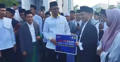 Tak Pilih Asing, Jokowi Kurban Sapi Made in Lombok Berat 1,3 Ton