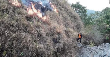 Kebakaran Hutan Gunung Ciremai, 5 Pendaki Belum Turun