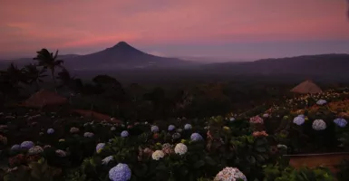 Puncak Tentena: Kombinasi Kesejukan, Panorama Alam dan Sunset