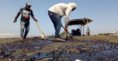 Begini Upaya Membersihkan Tumpahan Minyak di Perairan Karawang