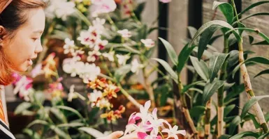 3 Wisata Taman Bunga di Bandung untuk Liburan Akhir Pekan