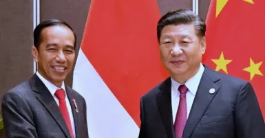 Presiden China Telepon Jokowi Soal Corona, Begini Katanya