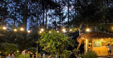 Wisata ke Bandung? 3 Kafe Instagramable ini Layak Disambangi  