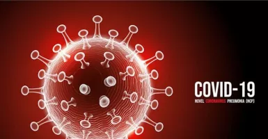 Siap-siap! Puncak Pandemi Corona Global dalam 2 Pekan Mendatang