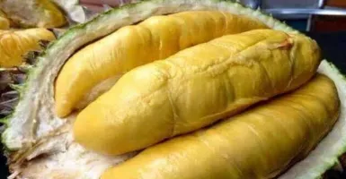 7 Jenis Durian Asal Indonesia, Mana Favorit Kamu?