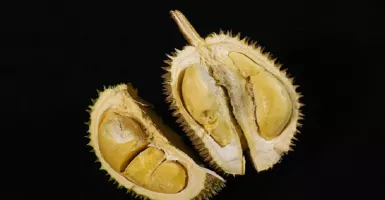 Biji Durian Ampuh Obati Penyakit Kolesterol Jahat