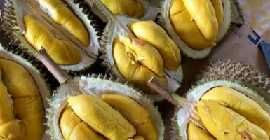 Ingat! Bahaya Mengintai bagi Penikmat Buah Durian yang Rakus