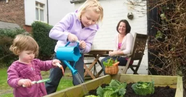 Isi Waktu Saat #DiRumah Saja dengan Berkebun Secara Hidroponik