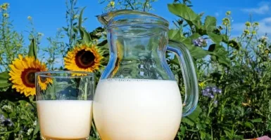 Simak! Perbedaan Susu Ibu Hamil dengan Susu Sapi