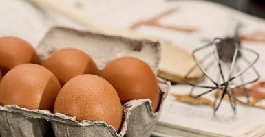 Makan 2 Butir Telur Tiap Hari Selama 6 Pekan, Rasakan Manfaatnya