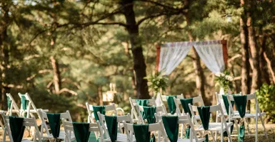 Ingin Gelar Forest Wedding? Tips Dekorasi Berikut Bisa Membantu