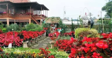 4 Taman Mawar di Indonesia Cocok untuk Rayakan Valentine