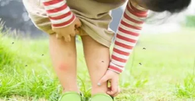 5 Cara Ini Ampuh Cegah Gigitan Nyamuk Buat Si Kecil