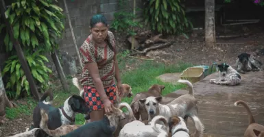 Aksimuda Serahkan Donasi ke Bali Stray Dog Society