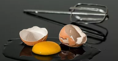 Ternyata Kulit Telur Banyak Manfaat Buat Kesehatan
