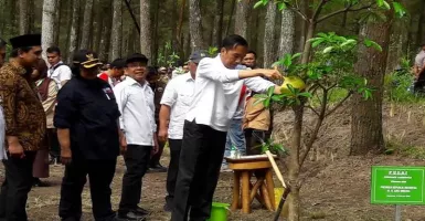 Presiden Jokowi Lepaskan Abu dan Rossy di Lereng Gunung Merapi