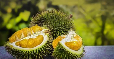Nikmat dan Enak, Kiat Memilih Buah Durian yang Matang