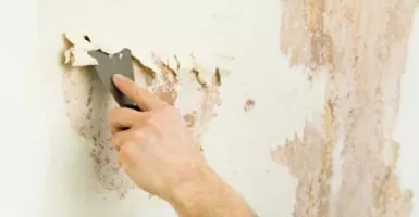 3 Tips Sederhana Mencegah Dinding Rumah Berjamur