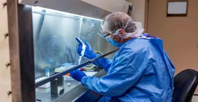 Ilmuwan Ungkap Vaksin Virus Corona Butuh Waktu 2 Tahun