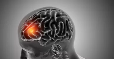 Pakar Peneliti Temukan Perubahan Otak Manusia Karena Covid-19