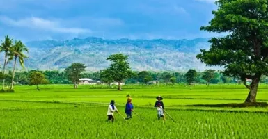 Siap-siap Melongo Lihat Indahnya Desa Ya, Kemendes Gandeng PFN Lo