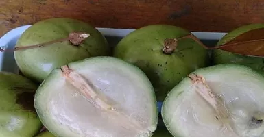 Jarang Diketahui, Manfaat Buah Sawo Durian untuk Kesehatan 