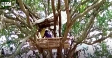 Takut Tertulari Corona, Masyarakat India Isolasi di Atas Pohon