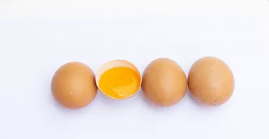Begini Membedakan Telur yang Baik dan Jelek
