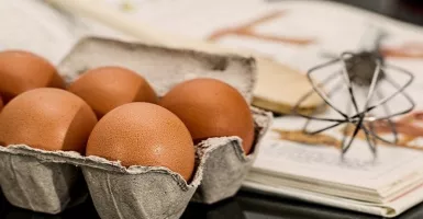 Jangan Menyimpan Telur Jumlah Banyak di Pintu Kulkas, Ternyata...