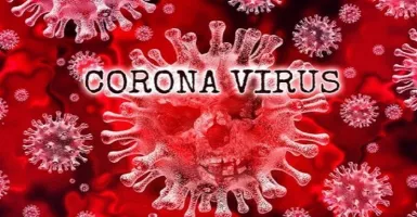 Kabar Baik, Virus Corona Mulai Melemah